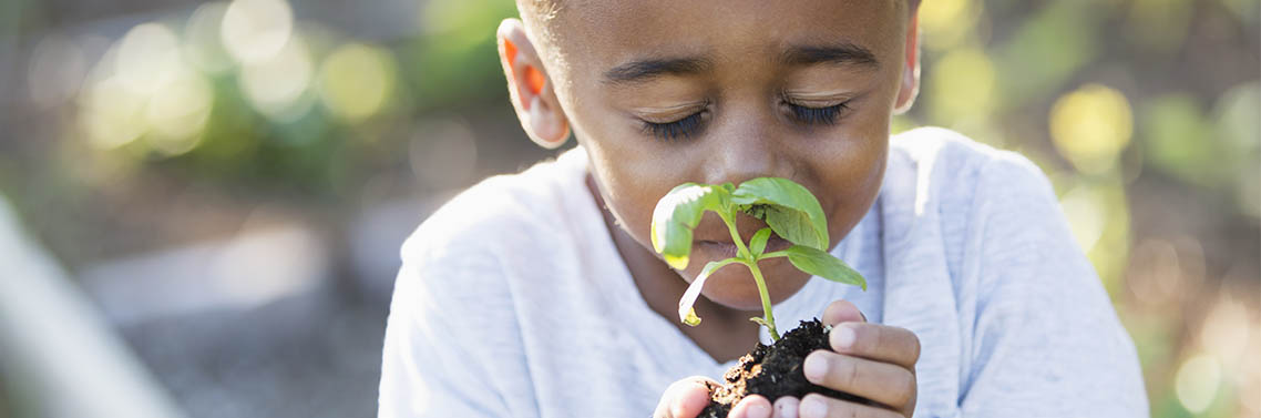 ateliers jardinage avec les enfants ass mat