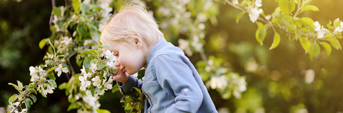 prevenir allergie aux pollens b