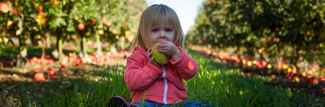 Alimentation du tout petit