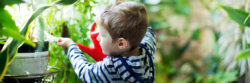 Jardiner avec les enfants - Nounou Asssure