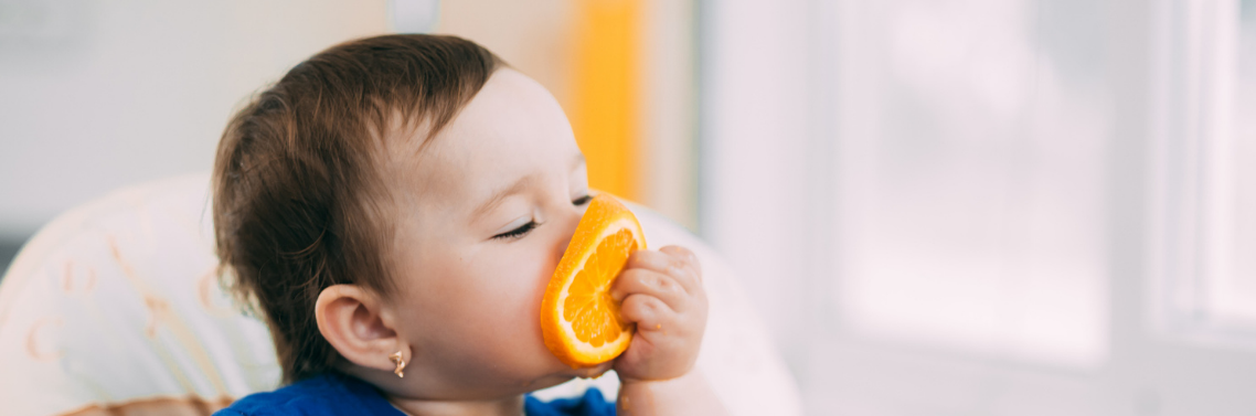 Bebe fruits et legumes header